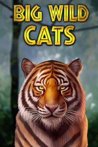Big Wild Cats