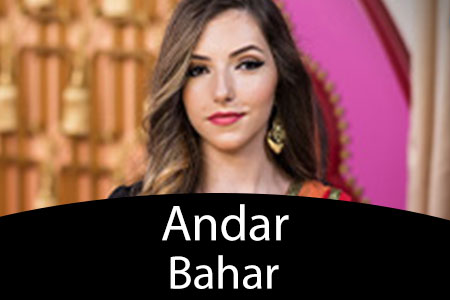 Ott Andar Bahar