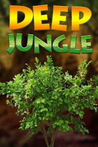 Deep Jungle