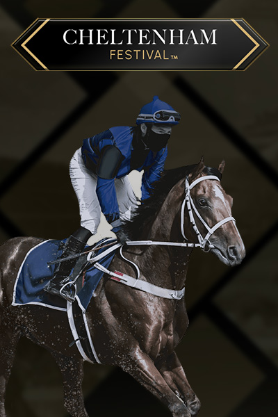 Virtual! Horse Racing At Cheltenham Festival