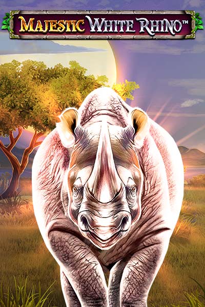 Majestic White Rhino